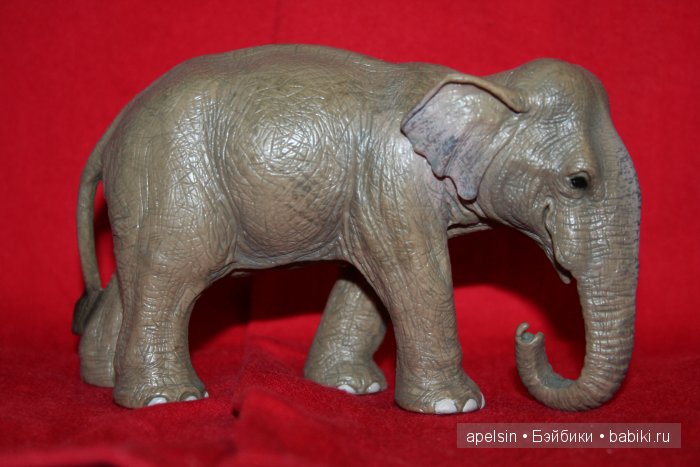 Реалистичные фигурки животных. Моя коллекция в лицах. Плюс фото кукол с фигурками. Много фото. Часть 2