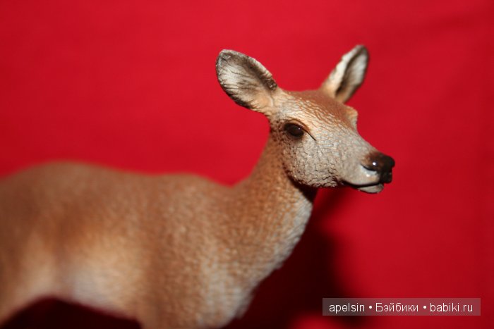 Реалистичные фигурки животных. Моя коллекция в лицах. Плюс фото кукол с фигурками. Много фото. Часть 2