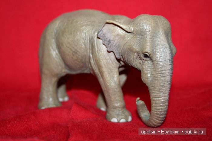 Реалистичные фигурки животных. Моя коллекция в лицах. Плюс фото кукол с фигурками. Много фото. Часть 2