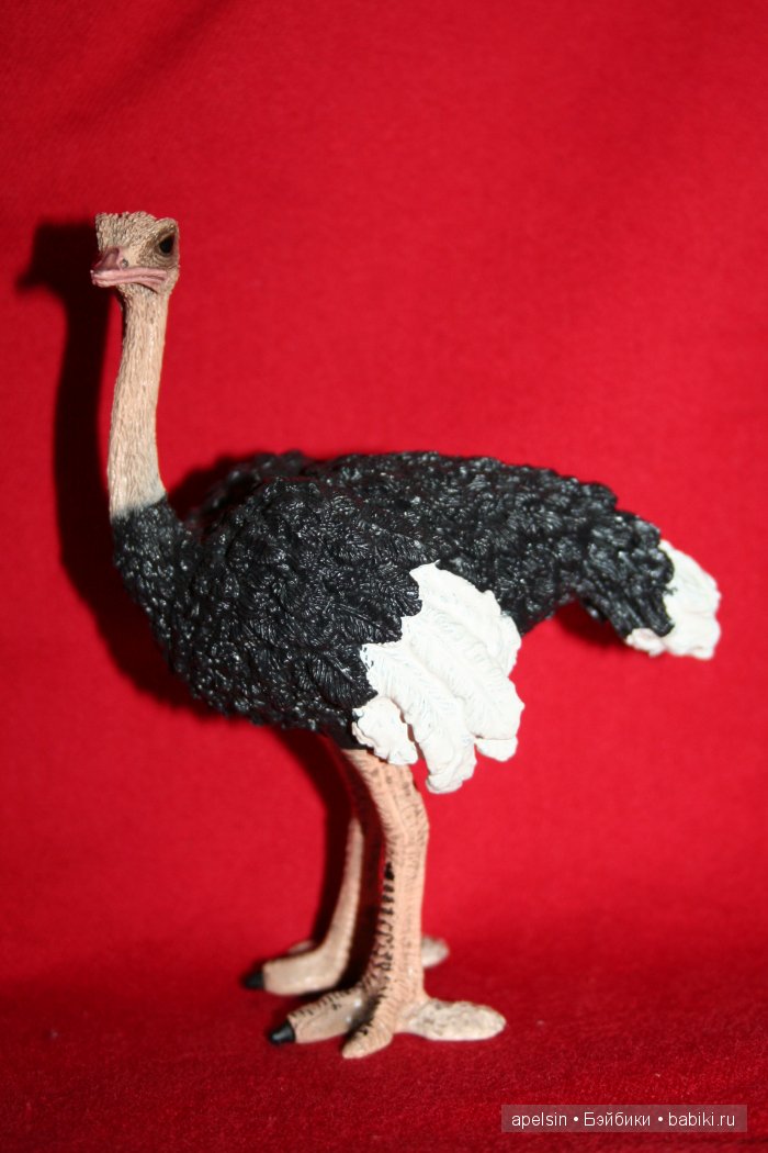 Реалистичные фигурки животных. Моя коллекция в лицах. Плюс фото кукол с фигурками. Много фото. Часть 2