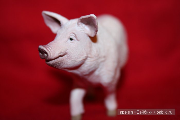 Реалистичные фигурки животных. Моя коллекция в лицах. Плюс фото кукол с фигурками. Много фото. Часть 3