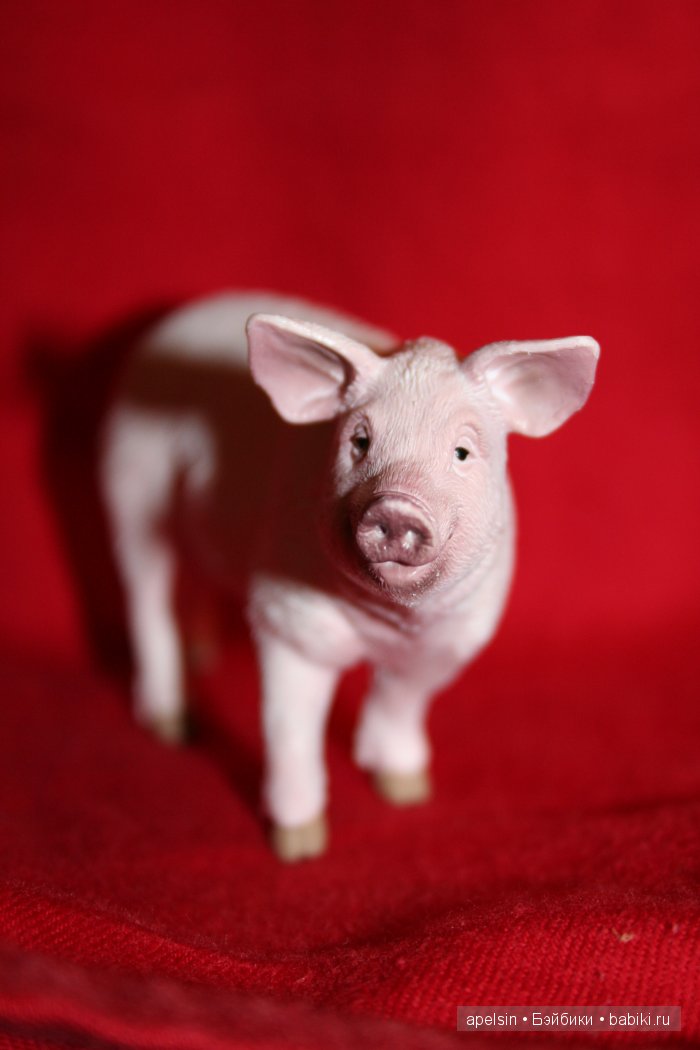 Реалистичные фигурки животных. Моя коллекция в лицах. Плюс фото кукол с фигурками. Много фото. Часть 3