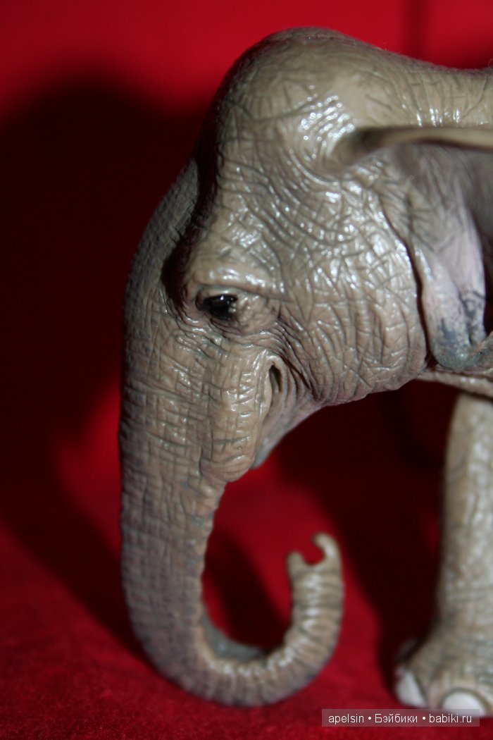 Реалистичные фигурки животных. Моя коллекция в лицах. Плюс фото кукол с фигурками. Много фото. Часть 2