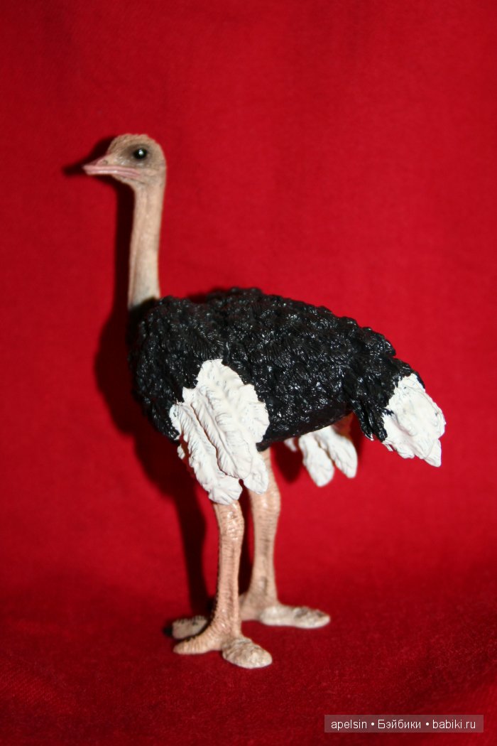 Реалистичные фигурки животных. Моя коллекция в лицах. Плюс фото кукол с фигурками. Много фото. Часть 2