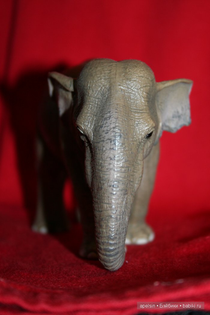 Реалистичные фигурки животных. Моя коллекция в лицах. Плюс фото кукол с фигурками. Много фото. Часть 2