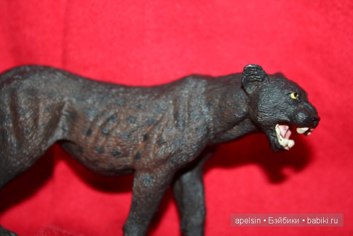 Реалистичные фигурки животных. Моя коллекция в лицах. Плюс фото кукол с фигурками. Много фото. Часть 3