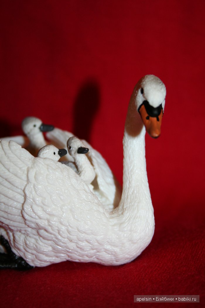 Реалистичные фигурки животных. Моя коллекция в лицах. Плюс фото кукол с фигурками. Много фото. Часть 2