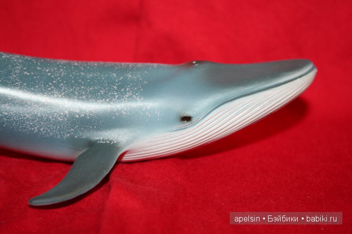 Реалистичные фигурки животных. Моя коллекция в лицах. Плюс фото кукол с фигурками. Много фото. Часть 3