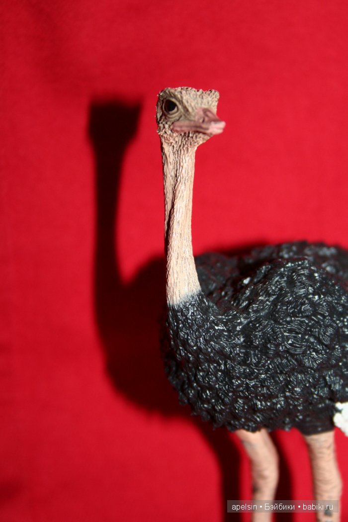 Реалистичные фигурки животных. Моя коллекция в лицах. Плюс фото кукол с фигурками. Много фото. Часть 2