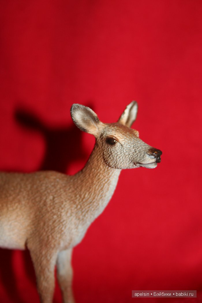 Реалистичные фигурки животных. Моя коллекция в лицах. Плюс фото кукол с фигурками. Много фото. Часть 2