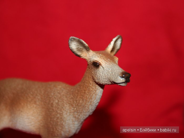 Реалистичные фигурки животных. Моя коллекция в лицах. Плюс фото кукол с фигурками. Много фото. Часть 2