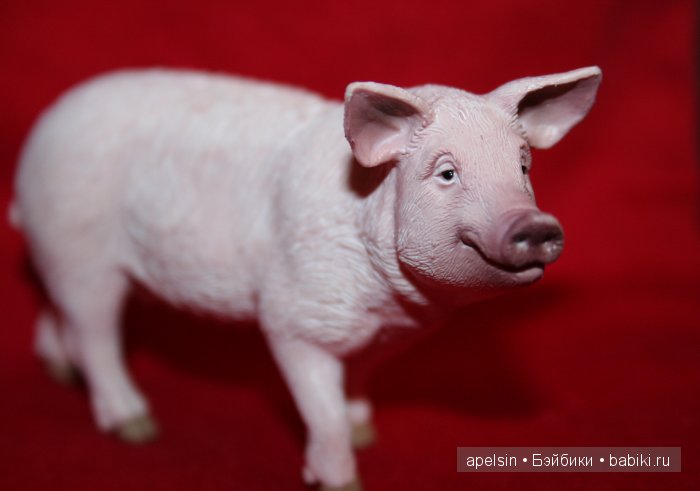 Реалистичные фигурки животных. Моя коллекция в лицах. Плюс фото кукол с фигурками. Много фото. Часть 3