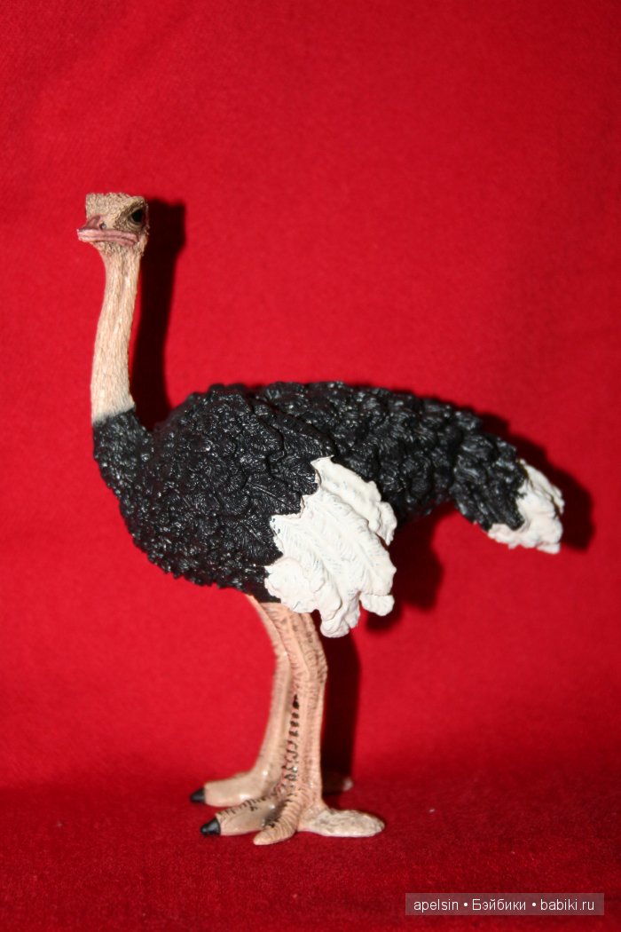 Реалистичные фигурки животных. Моя коллекция в лицах. Плюс фото кукол с фигурками. Много фото. Часть 2