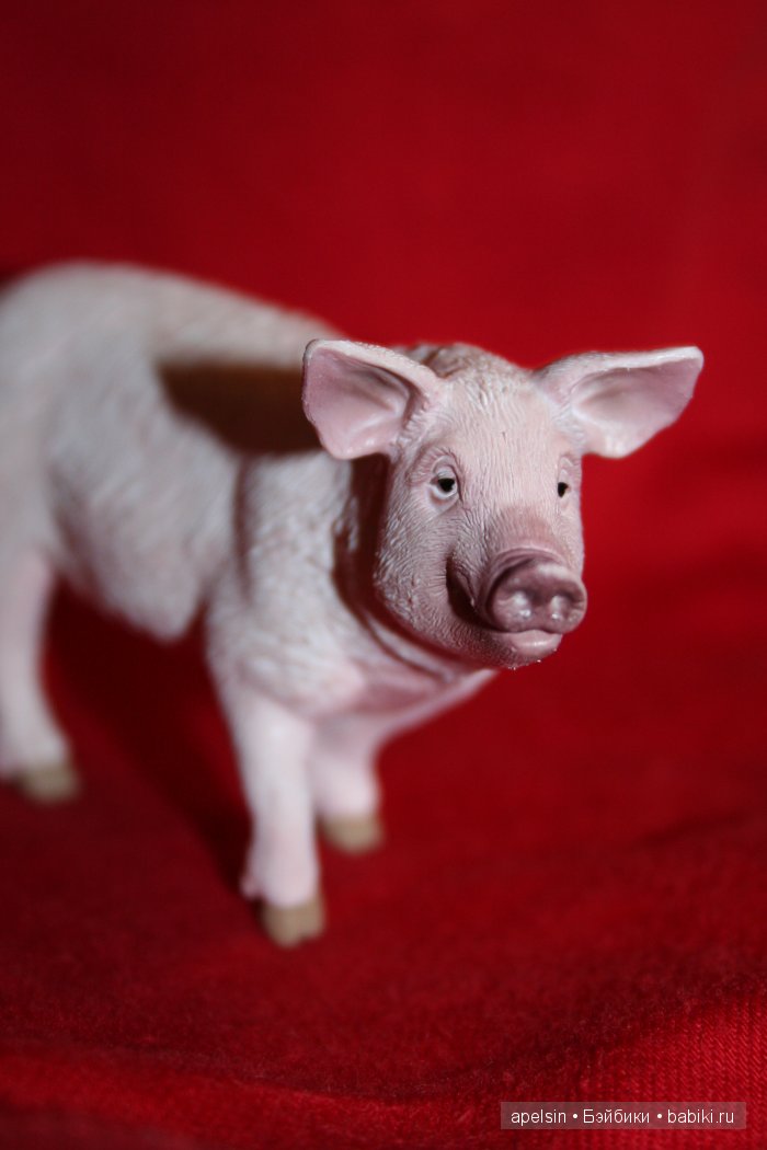 Реалистичные фигурки животных. Моя коллекция в лицах. Плюс фото кукол с фигурками. Много фото. Часть 3