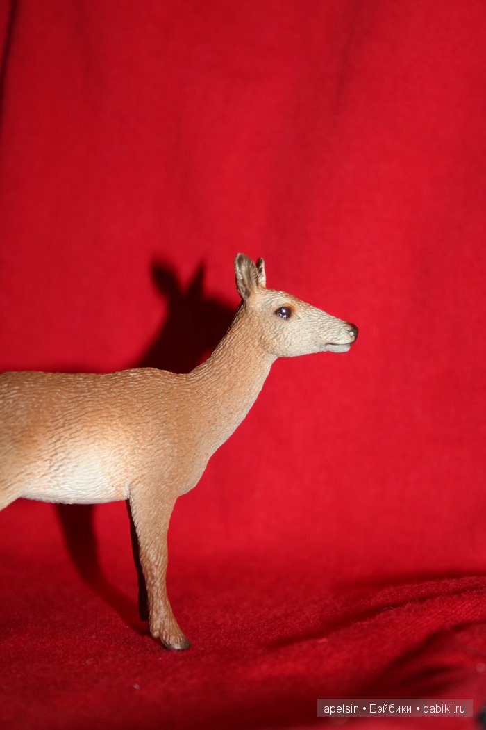 Реалистичные фигурки животных. Моя коллекция в лицах. Плюс фото кукол с фигурками. Много фото. Часть 2