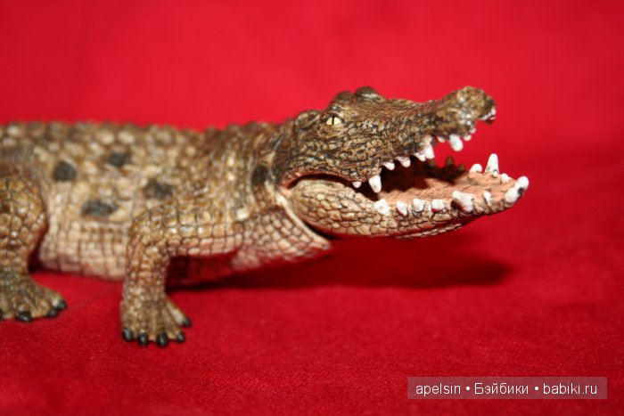 Реалистичные фигурки животных. Моя коллекция в лицах. Плюс фото кукол с фигурками. Много фото. Часть 2