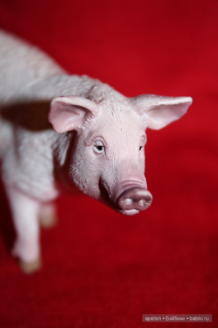 Реалистичные фигурки животных. Моя коллекция в лицах. Плюс фото кукол с фигурками. Много фото. Часть 3