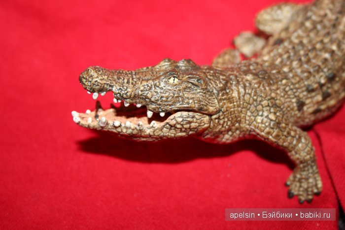 Реалистичные фигурки животных. Моя коллекция в лицах. Плюс фото кукол с фигурками. Много фото. Часть 2