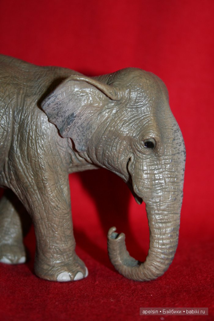 Реалистичные фигурки животных. Моя коллекция в лицах. Плюс фото кукол с фигурками. Много фото. Часть 2