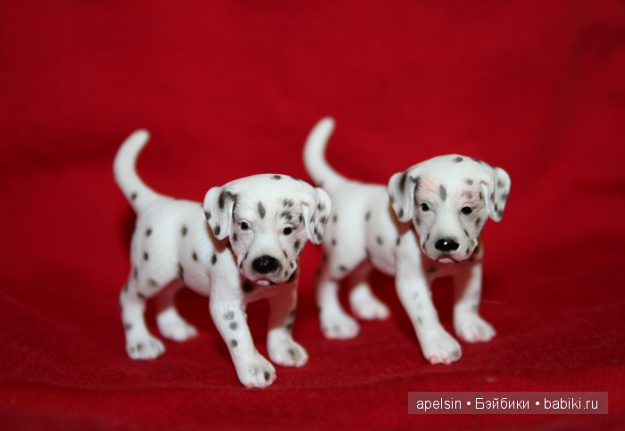 Реалистичные фигурки животных. Моя коллекция в лицах. Плюс фото кукол с фигурками. Много фото. Часть 3