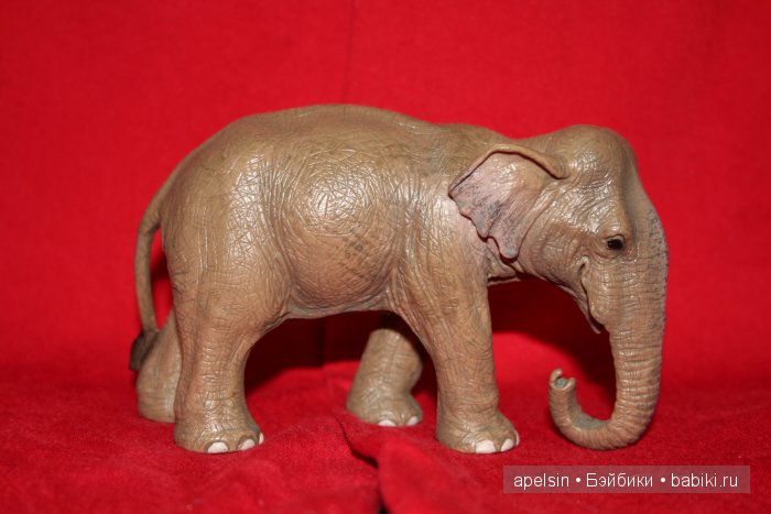 Реалистичные фигурки животных. Моя коллекция в лицах. Плюс фото кукол с фигурками. Много фото. Часть 2