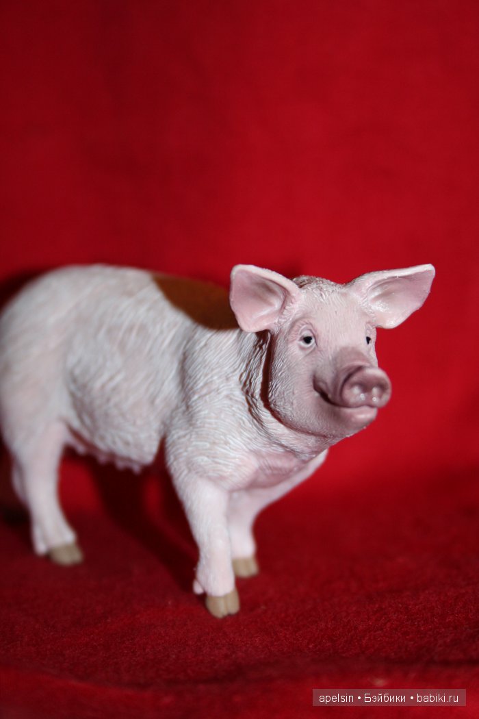 Реалистичные фигурки животных. Моя коллекция в лицах. Плюс фото кукол с фигурками. Много фото. Часть 3