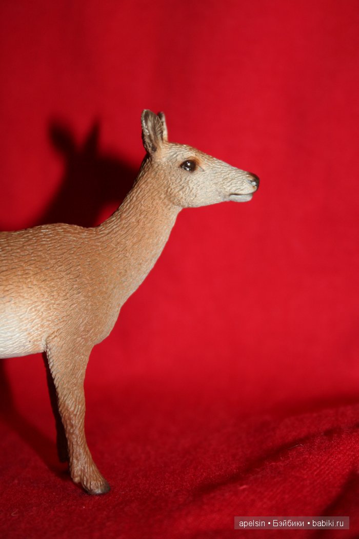 Реалистичные фигурки животных. Моя коллекция в лицах. Плюс фото кукол с фигурками. Много фото. Часть 2