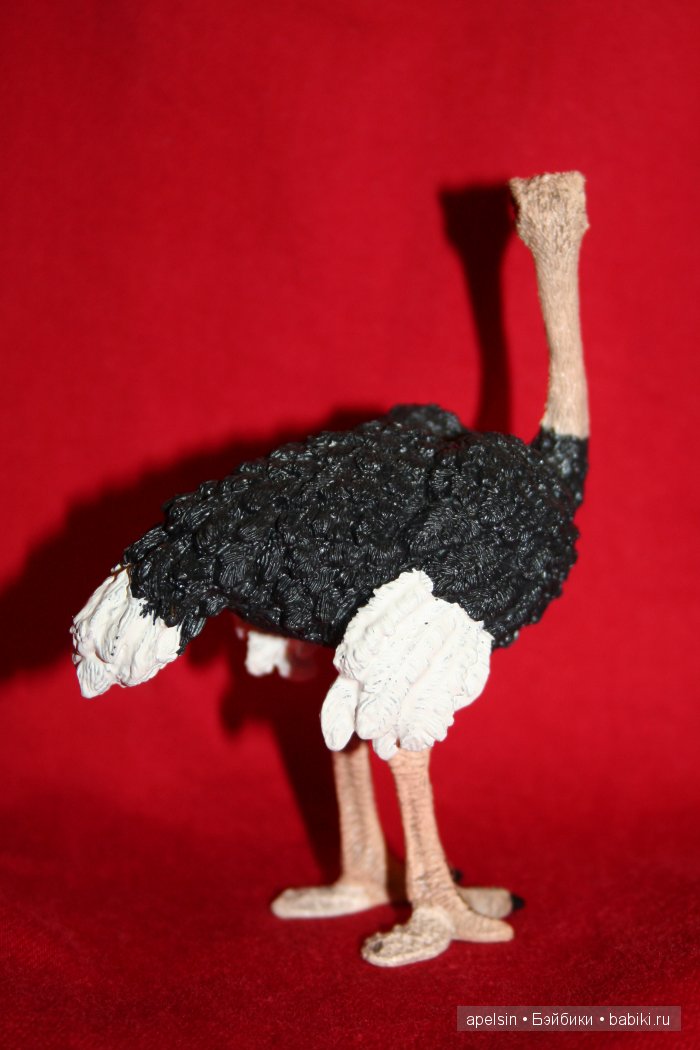 Реалистичные фигурки животных. Моя коллекция в лицах. Плюс фото кукол с фигурками. Много фото. Часть 2