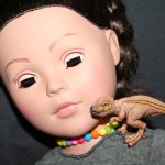 Реалистичные фигурки животных. Моя коллекция в лицах. Плюс фото кукол с фигурками. Много фото. Часть 2.