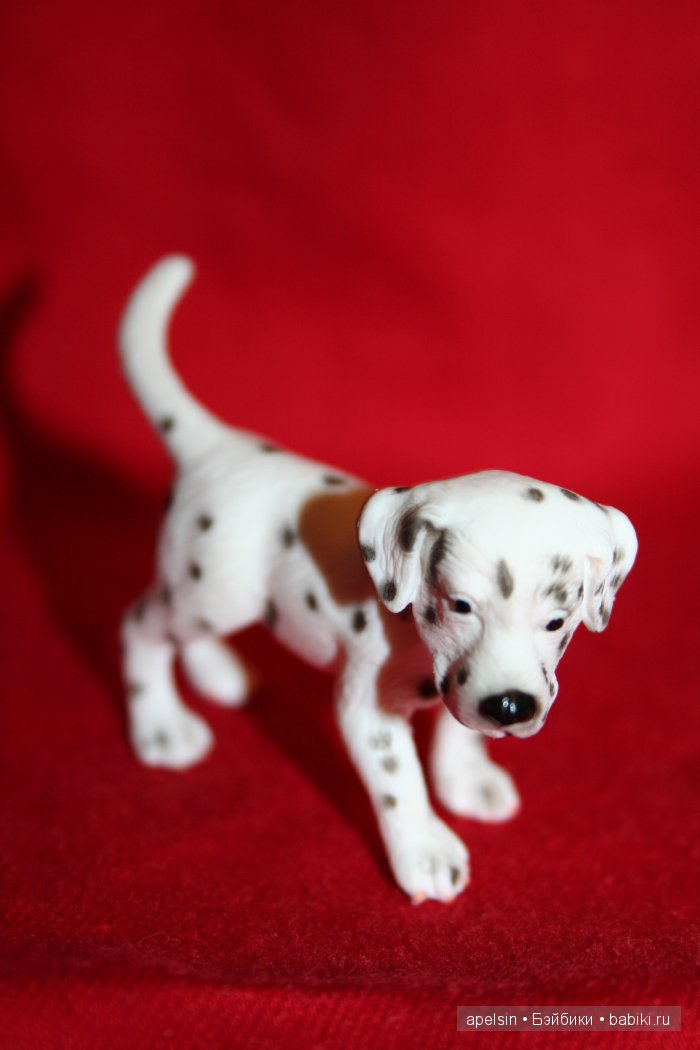 Реалистичные фигурки животных. Моя коллекция в лицах. Плюс фото кукол с фигурками. Много фото. Часть 3