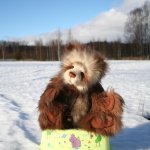 Деклан Declan Charlie Bears на прогулке