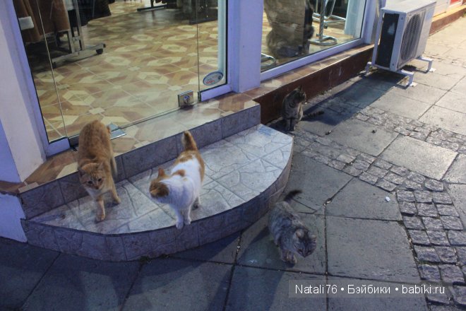 Болгария. Святой Влас. Несебр