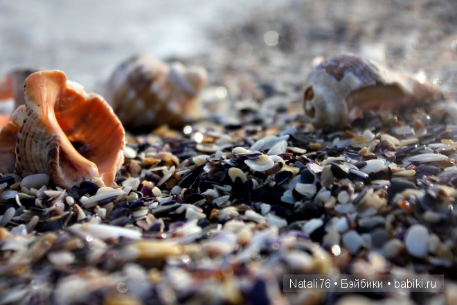 Болгария. Святой Влас. Несебр (фото 4)