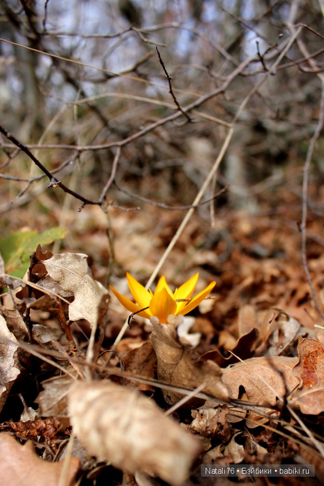 Болгария. Святой Влас. Несебр