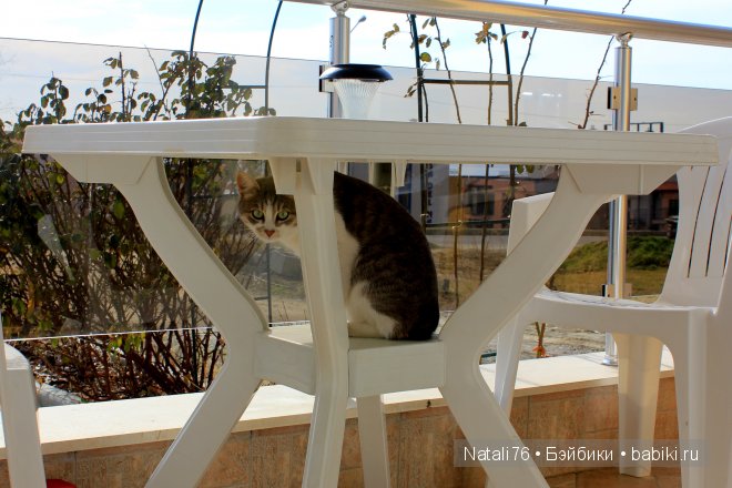 Болгария. Святой Влас. Несебр