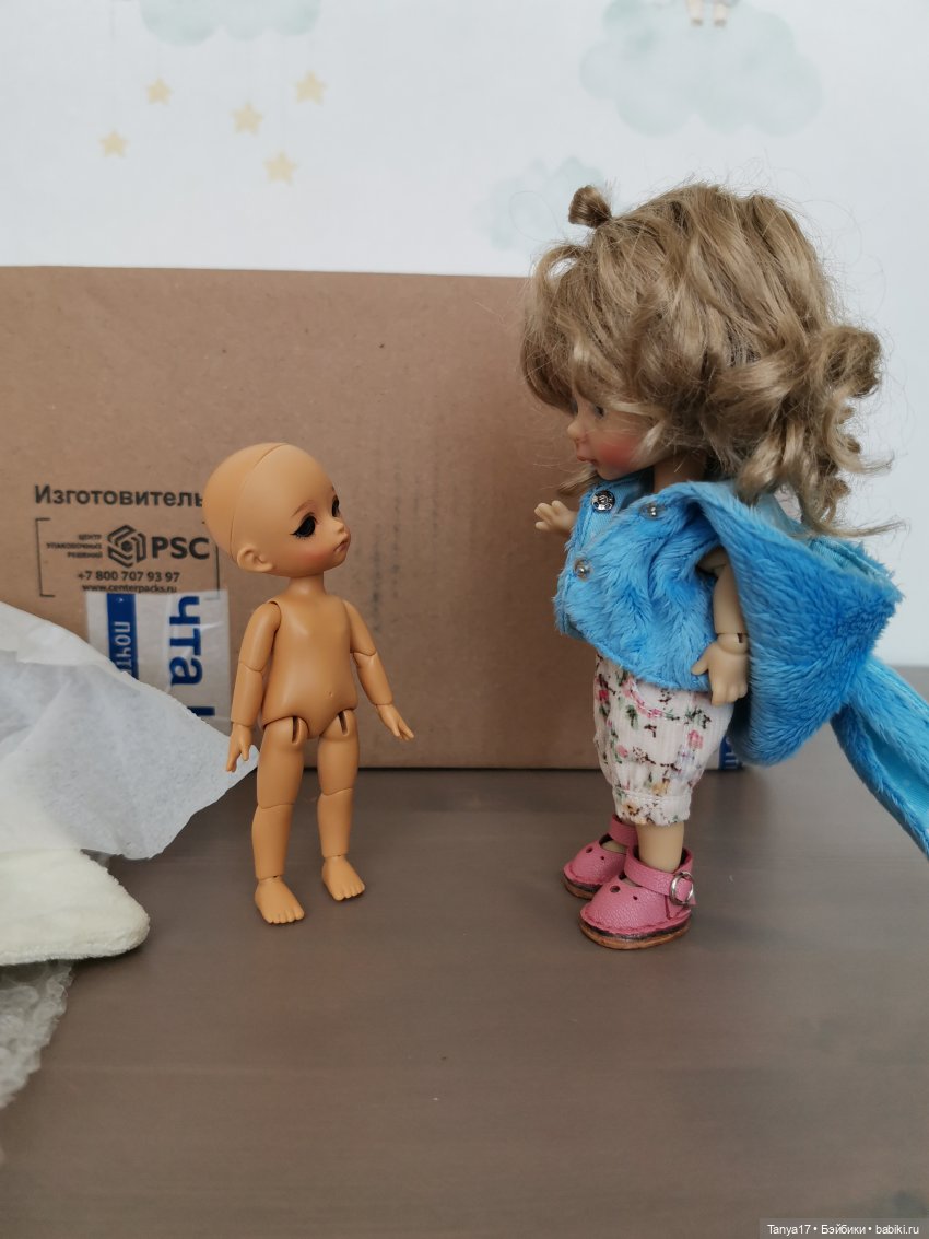 Пополнение — Куклы Latidoll (Лати): BJD (БЖД)