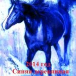 Лошадиная викторина