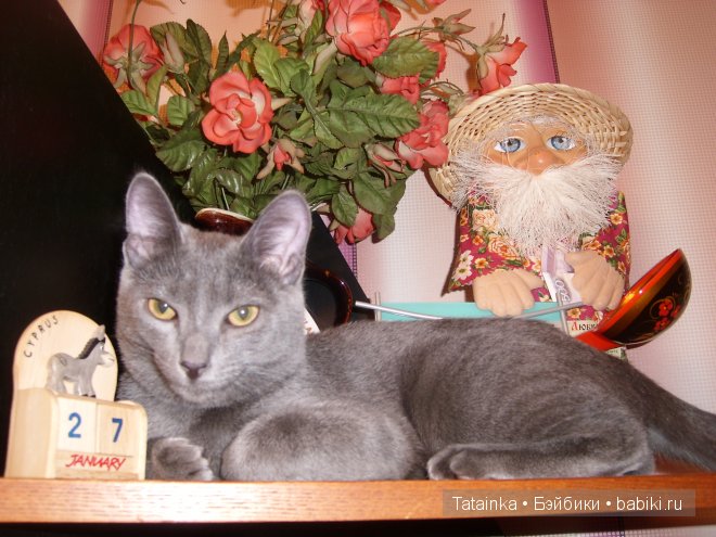 Обещанного … 25 лет ждут … или «А нам бы в куклы всё играть, такие вот чудачества…»