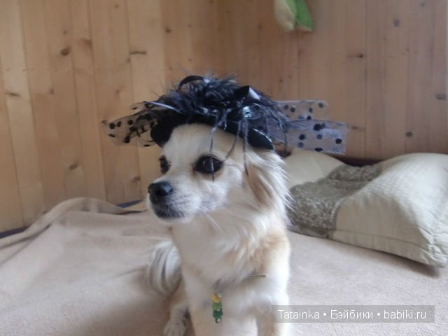 Обещанного … 25 лет ждут … или «А нам бы в куклы всё играть, такие вот чудачества…»