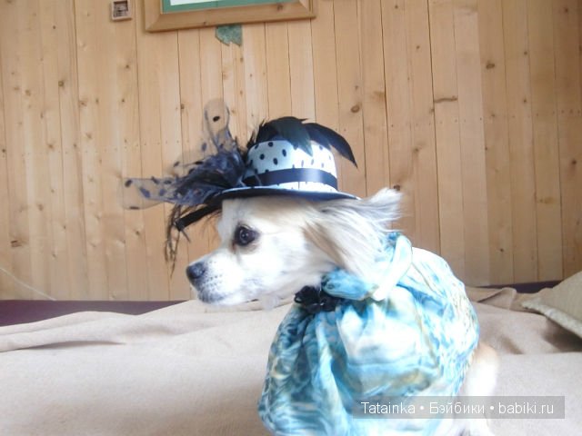 Обещанного … 25 лет ждут … или «А нам бы в куклы всё играть, такие вот чудачества…»