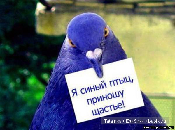 Моя «Гаврилиада» или Подарки и поздравления для хорошего настроения