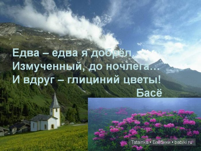 Хокку и танки пишу, Откуда японская грусть У дамы с русской душой (фото 6)