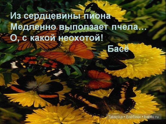 Хокку и танки пишу, Откуда японская грусть У дамы с русской душой (фото 8)