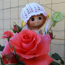 В поход за бабочками