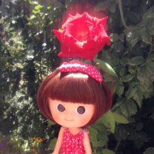 Карамелька mini mui chan в Крыму