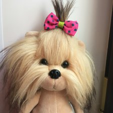 Lucky Yoyo собака йорик