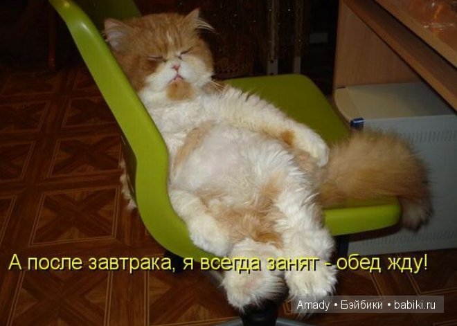 Позитив. Самые добрые и забавные фотографии для поднятия настроения | Бэйбики Позитив. Самые добрые и забавные фотографии для поднятия настроения