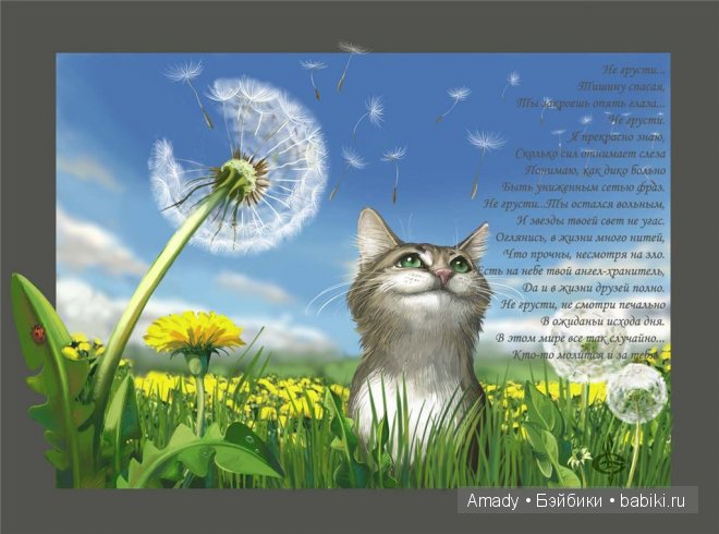 Позитив. Самые добрые и забавные фотографии для поднятия настроения | Бэйбики Позитив. Самые добрые и забавные фотографии для поднятия настроения