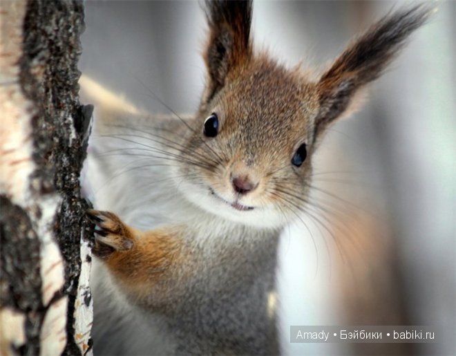 Позитив. Самые добрые и забавные фотографии для поднятия настроения | Бэйбики Позитив. Самые добрые и забавные фотографии для поднятия настроения