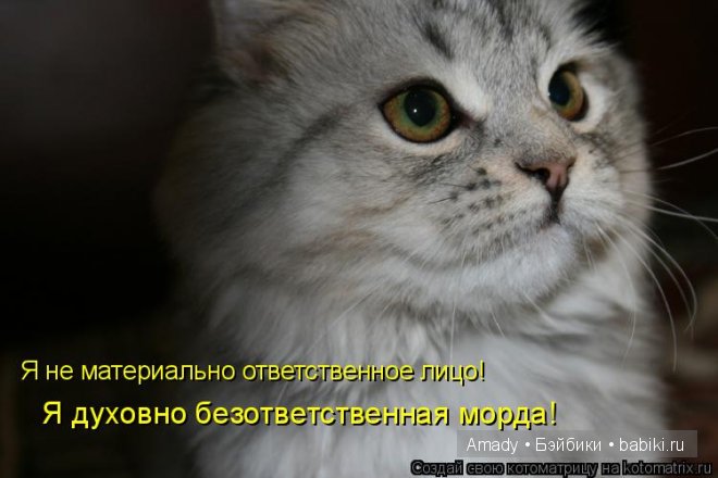 Позитив. Самые добрые и забавные фотографии для поднятия настроения | Бэйбики Позитив. Самые добрые и забавные фотографии для поднятия настроения